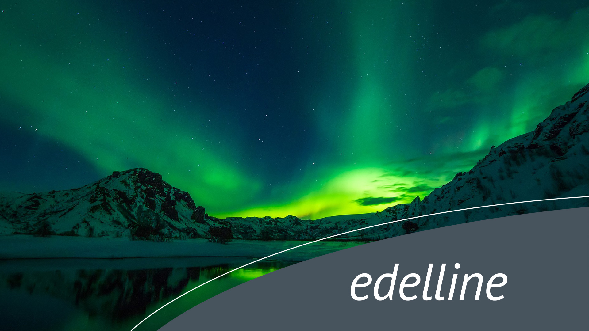 edelline AG - Online Marketing & Produktentwicklung