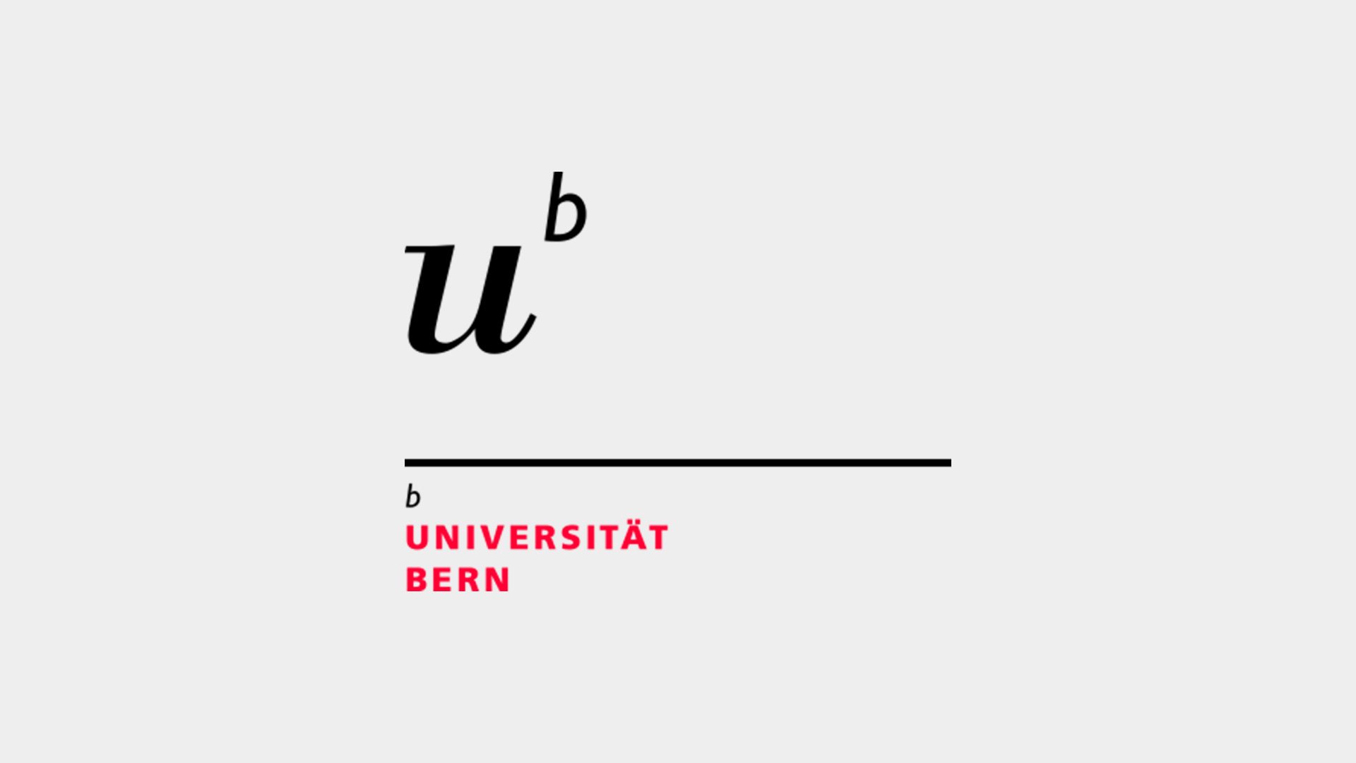 Universität Bern KPM - Online Marketing