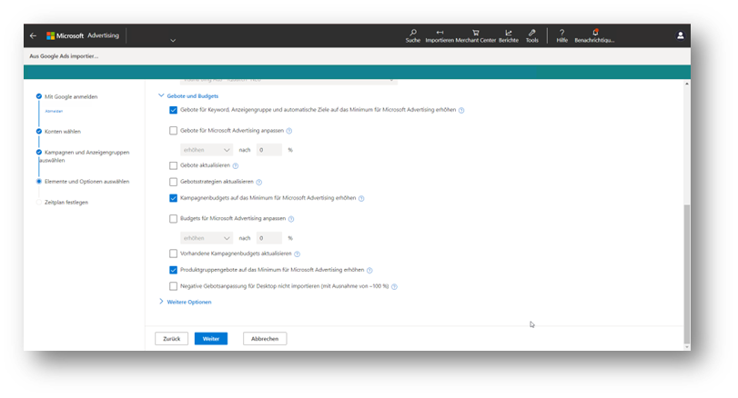 Formular mit diversen Importoptionen von Google Ads zu Microsoft Ads