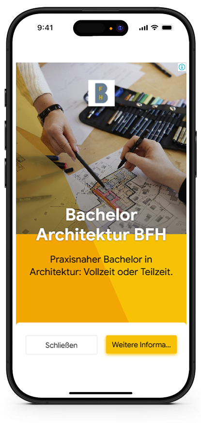 Screenshot Display Kampagne, BFH