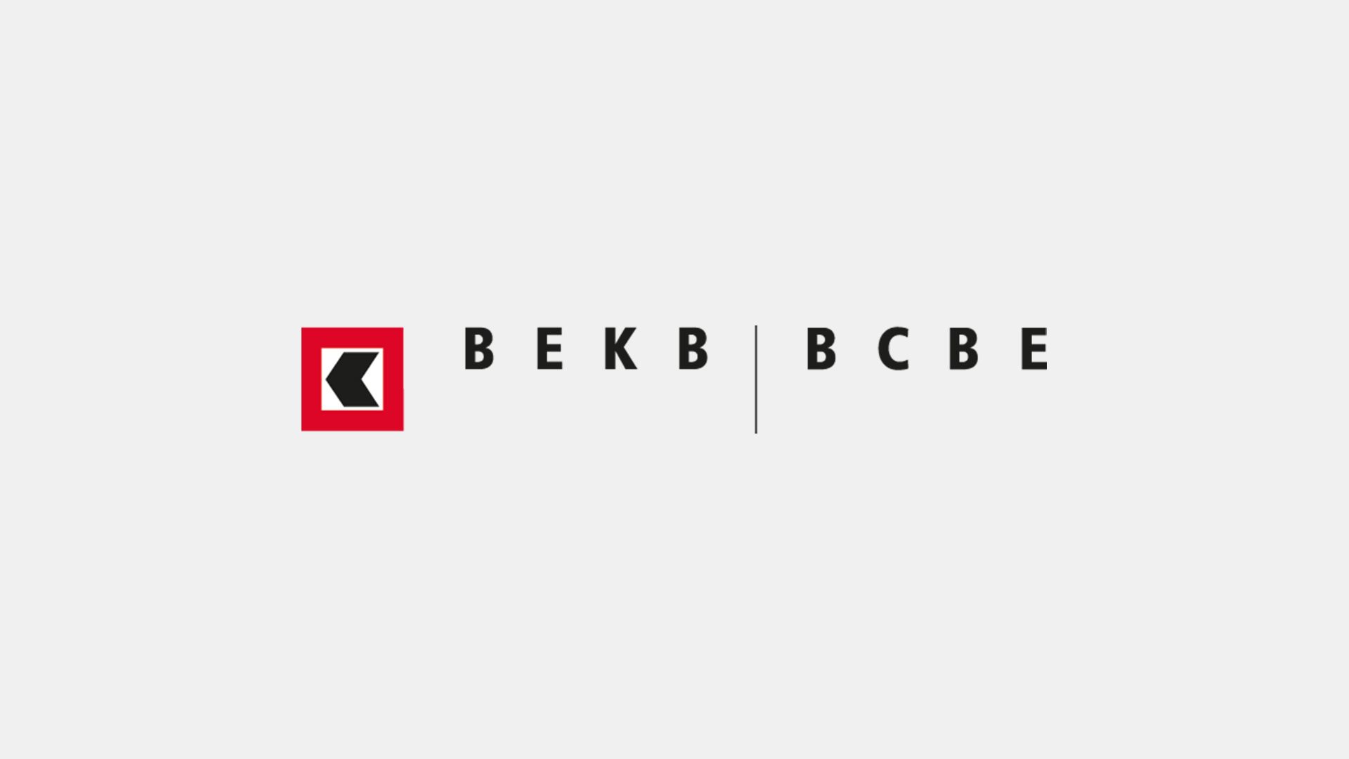 Berner Kantonalbank AG: Online Vermarktung