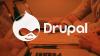 Laptops im Hintergrund Drupal Logo im Vordergrund