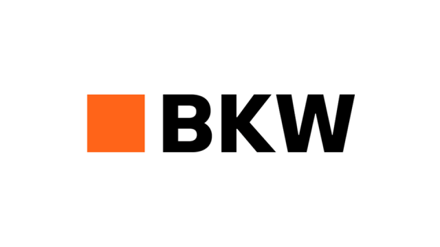 BKW AG: Online Marketing